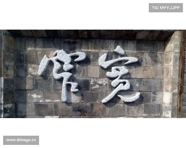 京微雅格:越走越好的国产FPGA生存之路 京微雅格:越走越好的国产FPGA生存之路